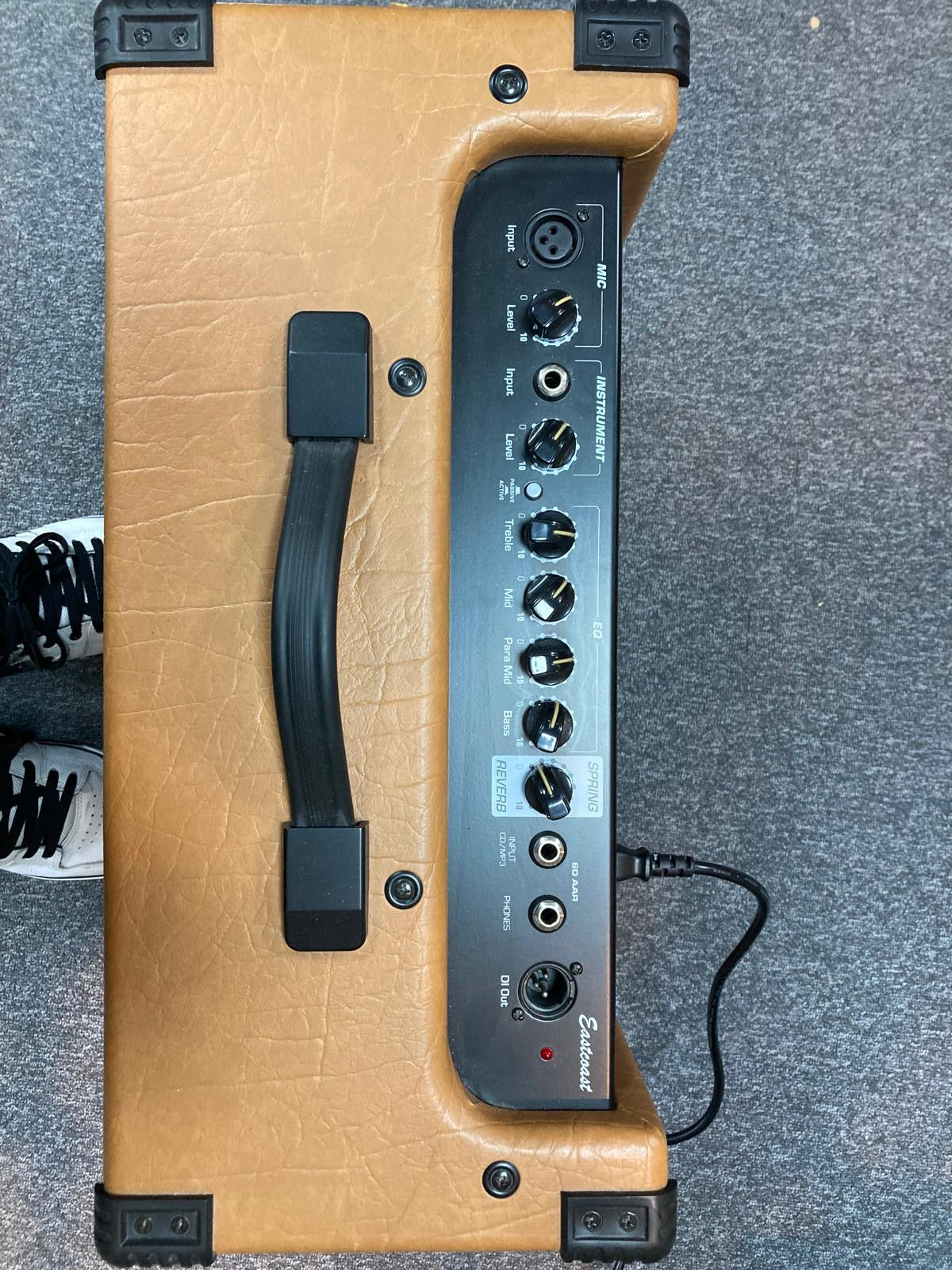 Eastcoast 60 AAR Acoustic Amp