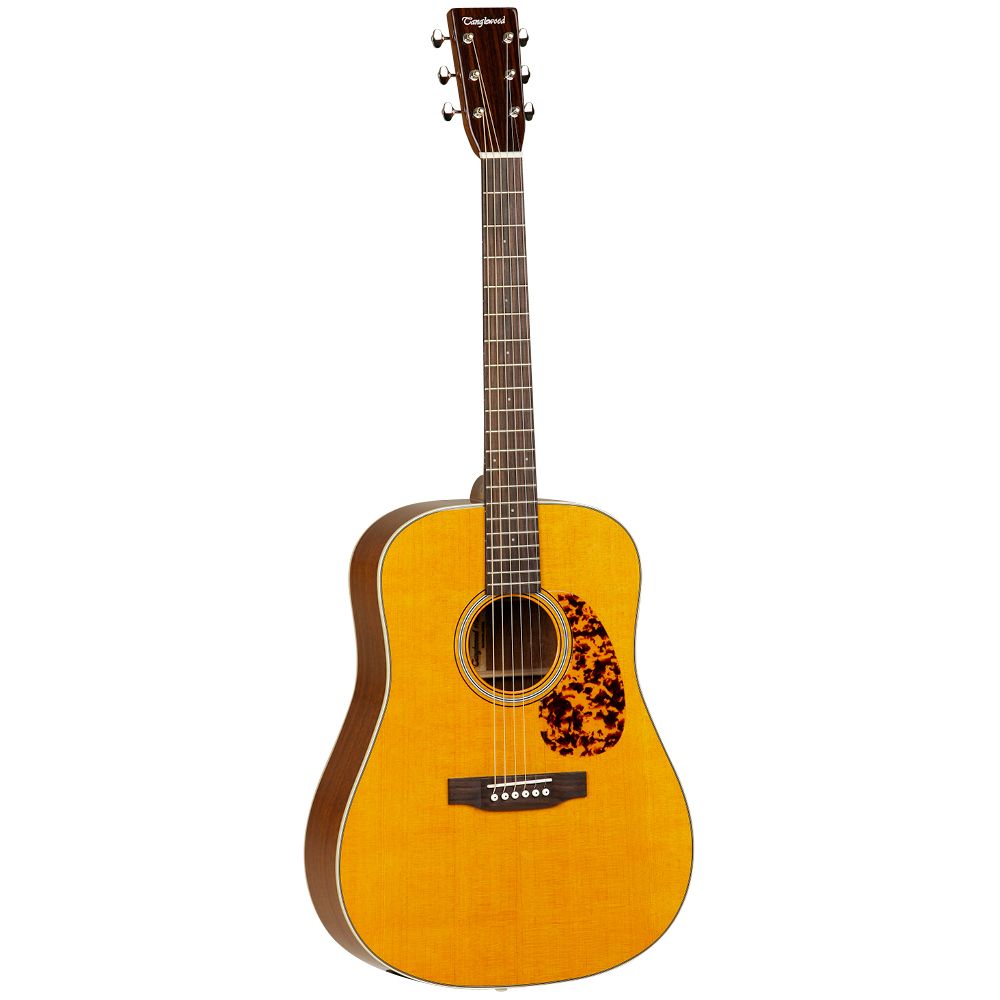 Tanglewood TW40 D AN E