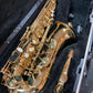 Earlham Pro II Alto Sax Outfit w/case