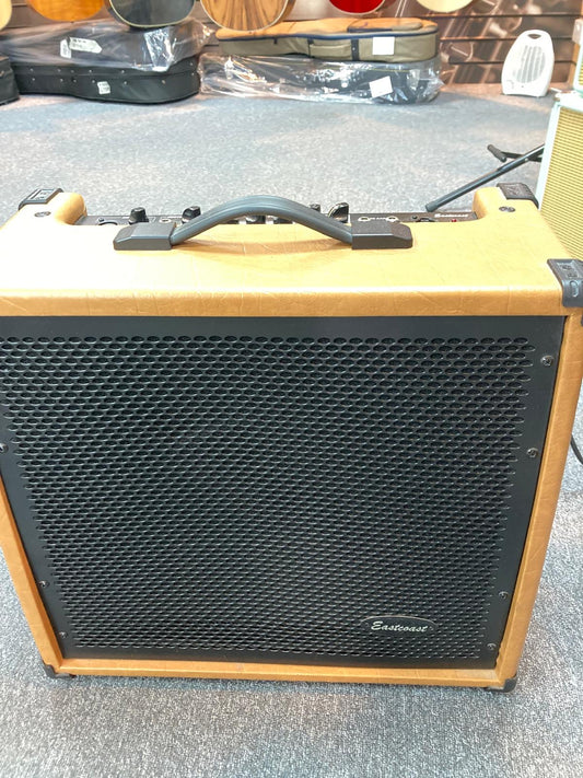Eastcoast 60 AAR Acoustic Amp