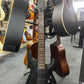 Schecter Diamond Series - Demon 7 - 7 String Electric Guitar
