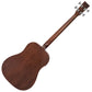 Vintage Statesboro' Electro-Acoustic Bass - Whisky Sour