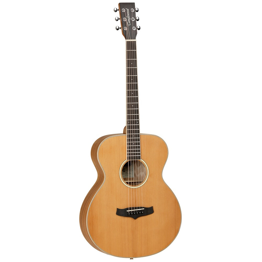 Tanglewood TW11 F OL Acoustic Guitar