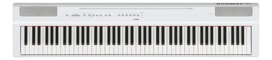 P-125 Portable Digital Piano In White Finish – Musicland (UK) Ltd